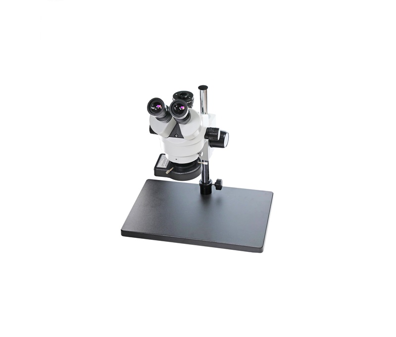 Microscopio trinocular
